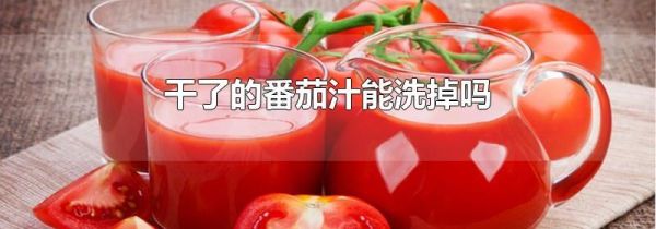 干了的番茄汁能洗掉吗