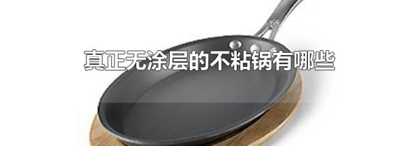 真正无涂层的不粘锅有哪些