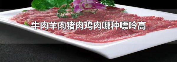 牛肉羊肉猪肉鸡肉哪种嘌呤高