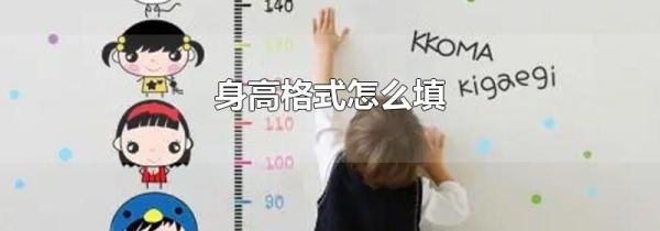 身高格式怎么填