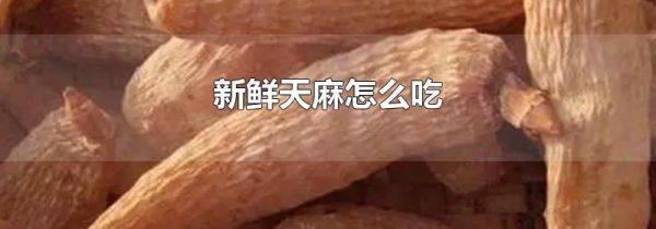 新鲜天麻怎么吃