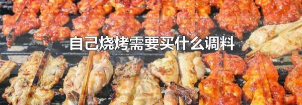 自己烧烤需要买什么调料