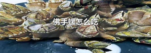 佛手螺怎么吃