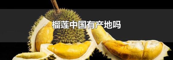 榴莲中国有产地吗