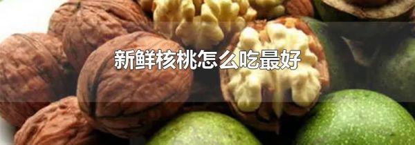 新鲜核桃怎么吃最好