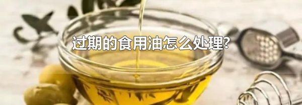 过期的食用油怎么处理?