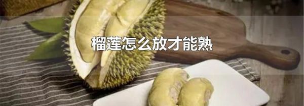 榴莲怎么放才能熟