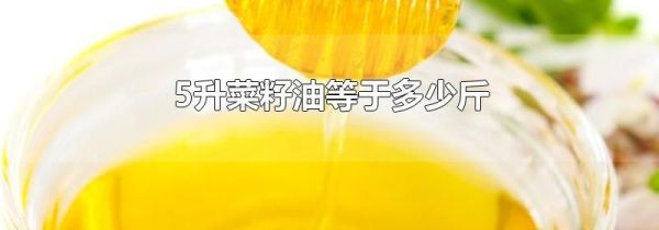 5升菜籽油等于多少斤