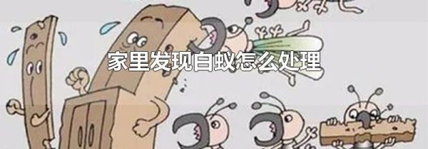 家里发现白蚁怎么处理