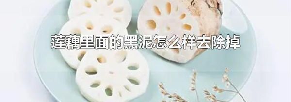 莲藕里面的黑泥怎么样去除掉
