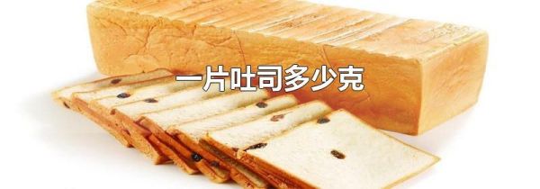 一片吐司多少克