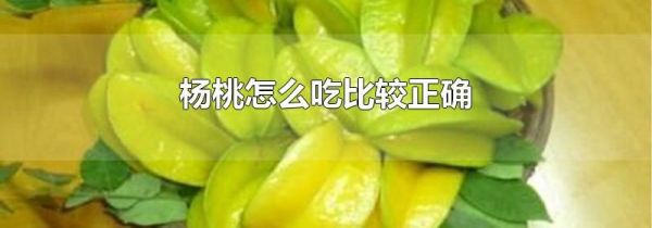 杨桃怎么吃比较正确