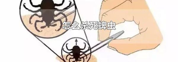 怎么杀死蜱虫
