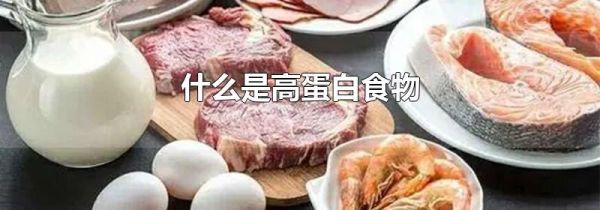 什么是高蛋白食物