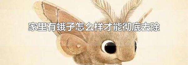 家里有蛾子怎么样才能彻底去除