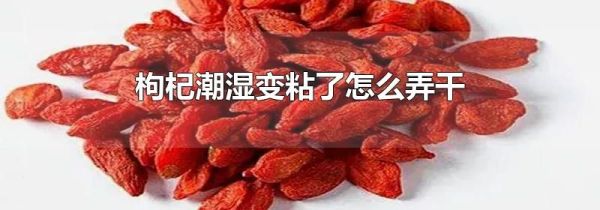枸杞潮湿变粘了怎么弄干