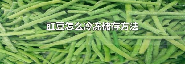 豇豆怎么冷冻储存方法