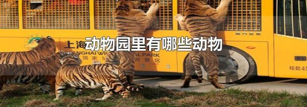 动物园里有哪些动物