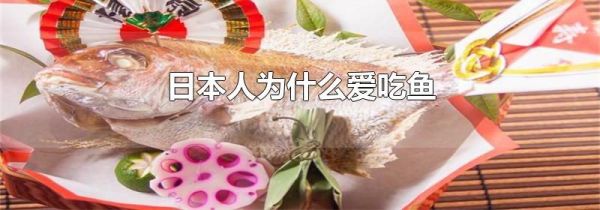日本人为什么爱吃鱼