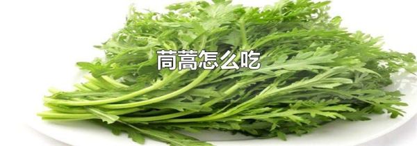 茼蒿怎么吃