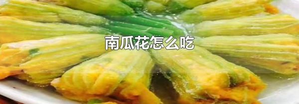 南瓜花怎么吃