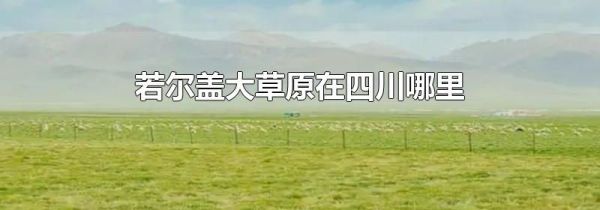 若尔盖大草原在四川哪里