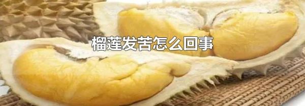 榴莲发苦怎么回事