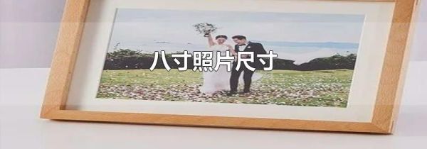 八寸照片尺寸