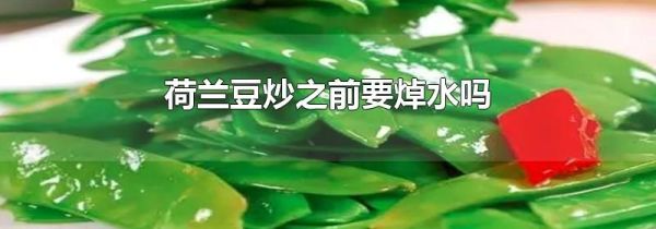 荷兰豆炒之前要焯水吗