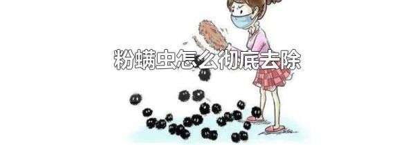 粉螨虫怎么彻底去除