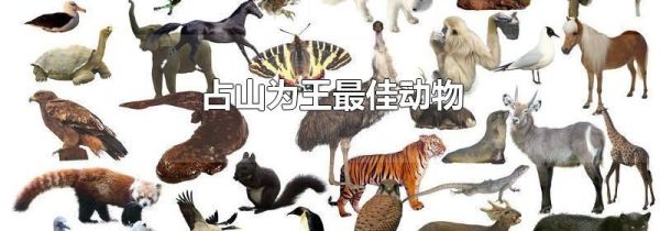 占山为王最佳动物