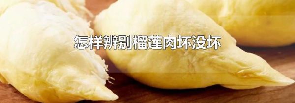 怎样辨别榴莲肉坏没坏