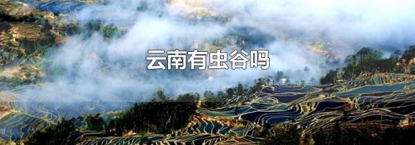 云南有虫谷吗