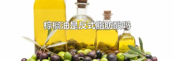 棕榈油是反式脂肪酸吗