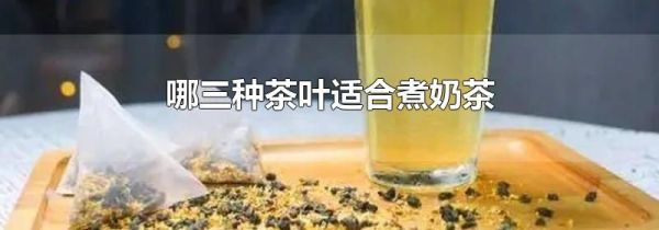 哪三种茶叶适合煮奶茶