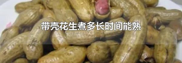 带壳花生煮多长时间能熟
