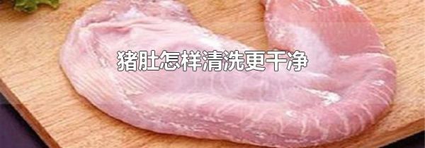 猪肚怎样清洗更干净