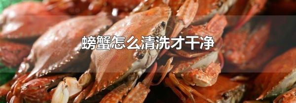 螃蟹怎么清洗才干净