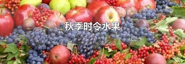 秋季时令水果