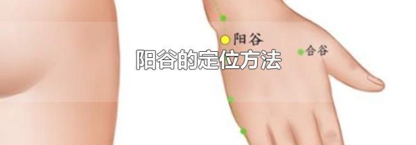 阳谷的定位方法