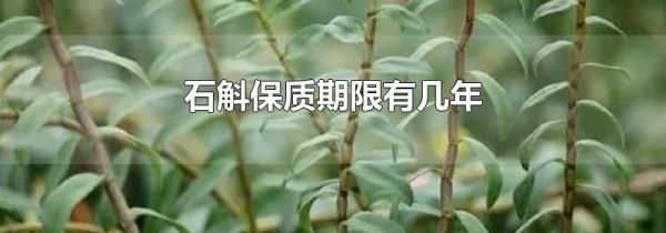 石斛保质期限有几年