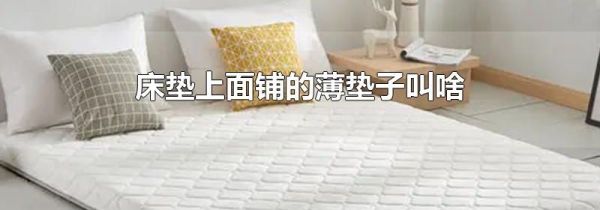 床垫上面铺的薄垫子叫啥