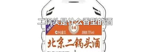 二锅头是什么香型的酒