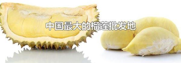 中国最大的榴莲批发地