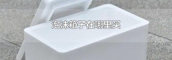 泡沫箱子在哪里买