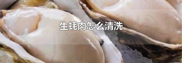 生蚝肉怎么清洗