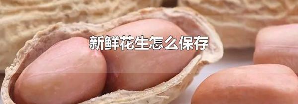新鲜花生怎么保存
