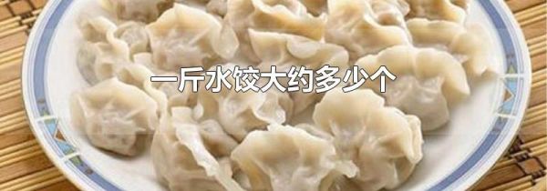 一斤水饺大约多少个