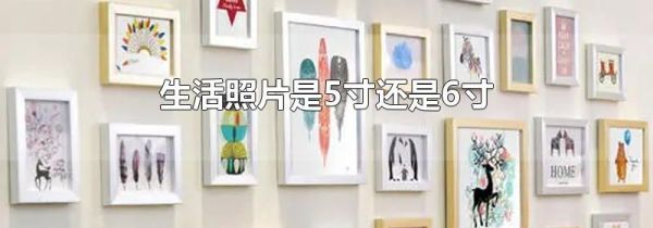 生活照片是5寸还是6寸