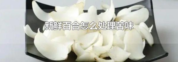 新鲜百合怎么处理苦味